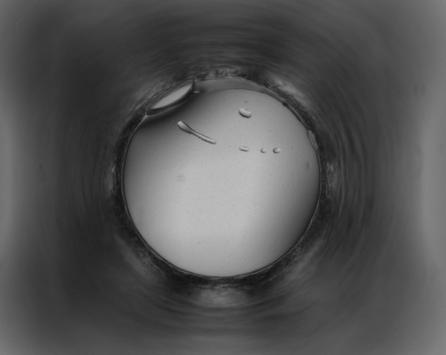 X0000086990451200705071440