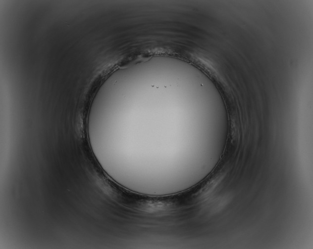 X0000086990453200705071440