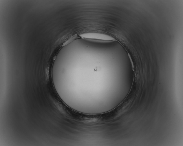 X0000086990454200705071440