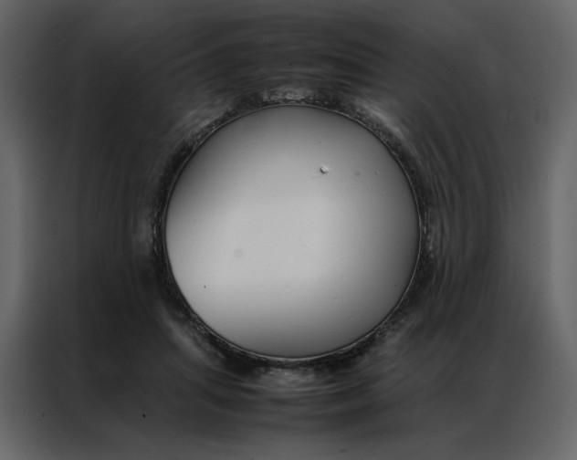 X0000086990455200705071440