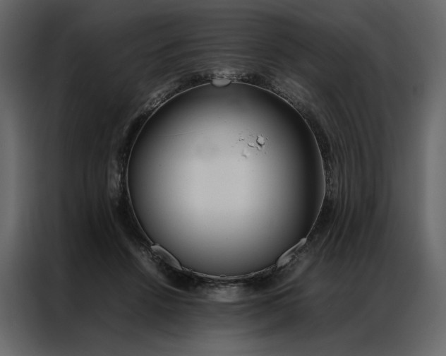 X0000086990456200705071440