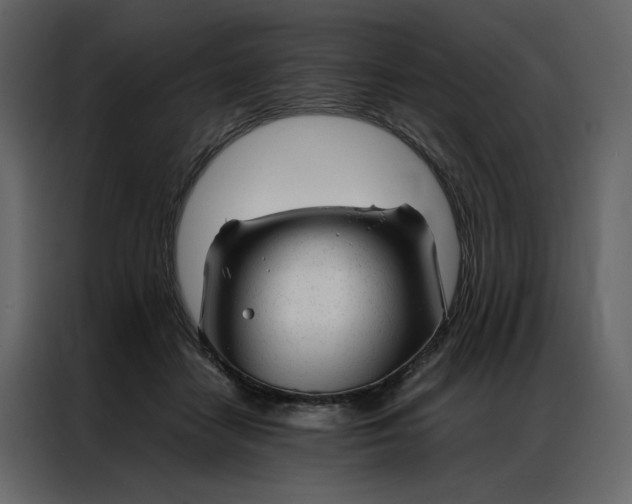 X0000086990458200705071440