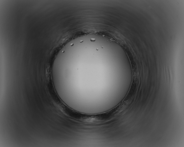 X0000086990460200705071440