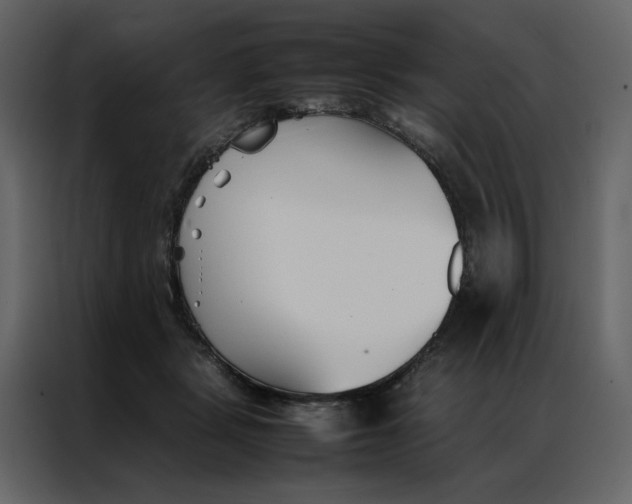 X0000086990461200705071440