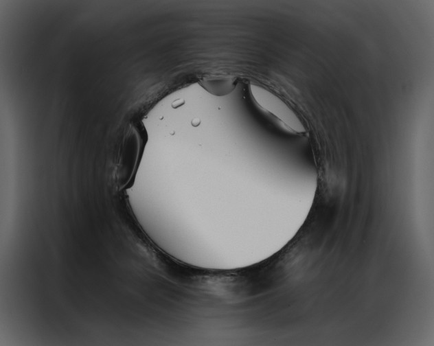 X0000086990462200705071440