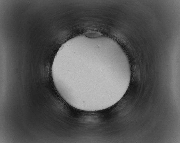 X0000086990463200705071440