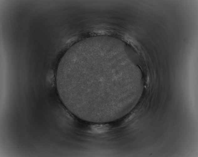 X0000086990465200705071440