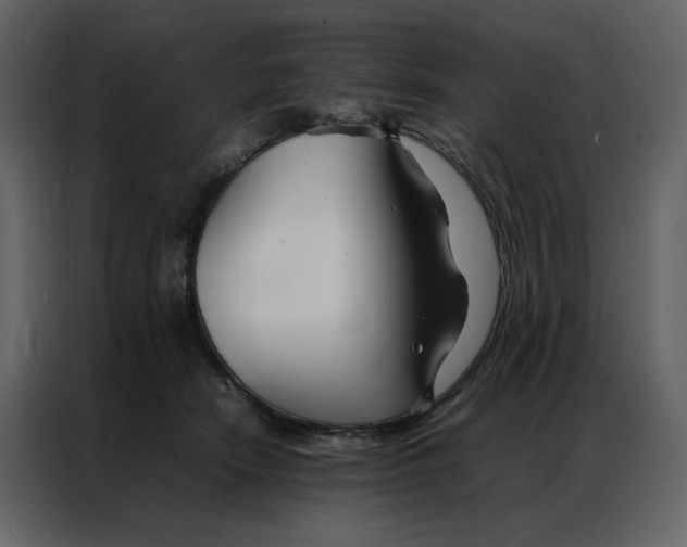 X0000086990466200705071440