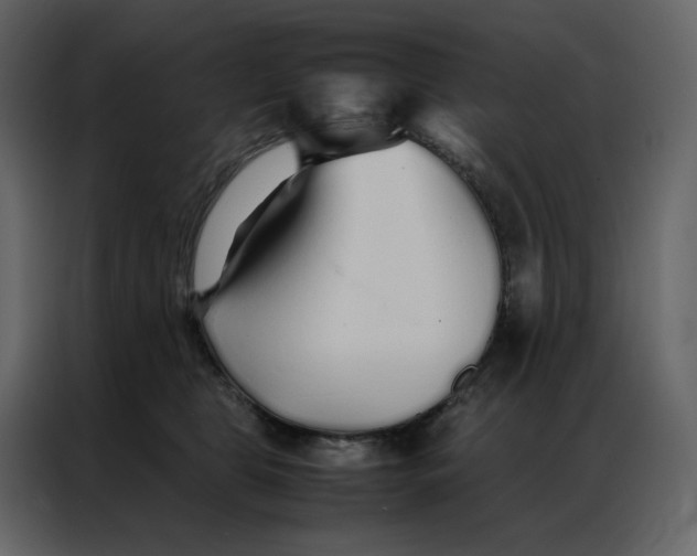 X0000086990469200705071440