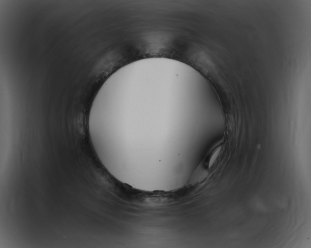 X0000086990470200705071440