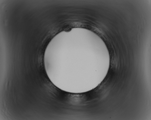 X0000086990473200705071440