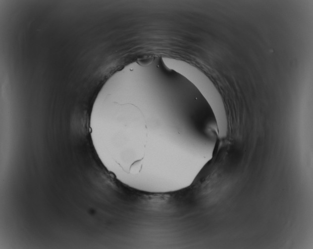 X0000086990474200705071440