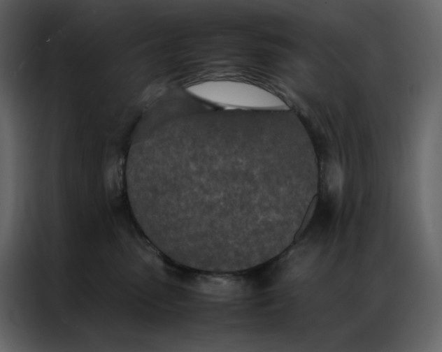 X0000086990475200705071440