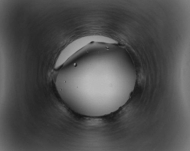 X0000086990476200705071440