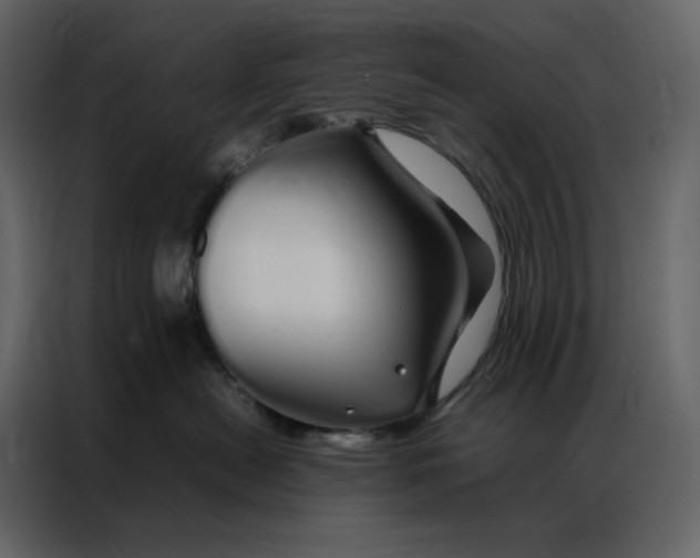 X0000086990478200705071440