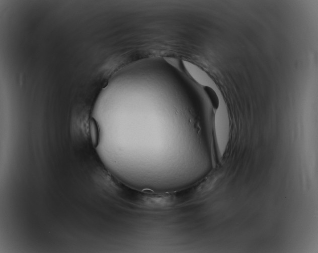 X0000086990479200705071440