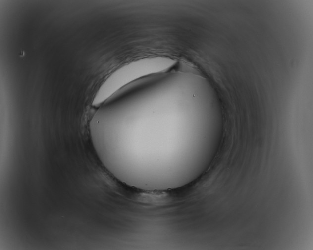 X0000086990480200705071440