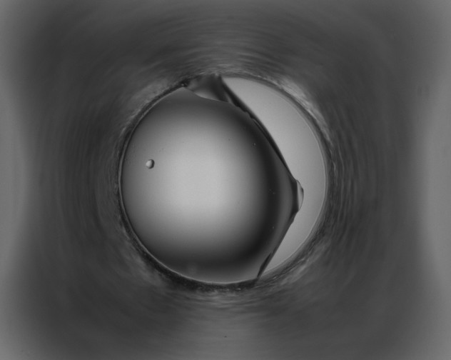 X0000086990481200705071439