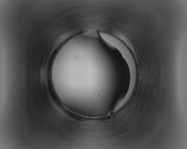 X0000086990482200705071439