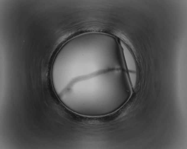 X0000086990483200705071439