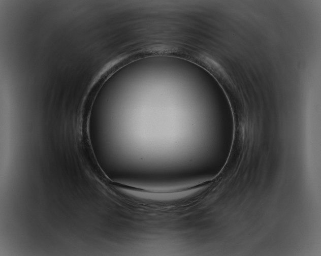 X0000086990484200705071439