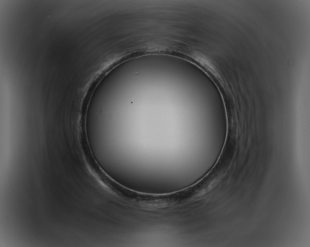 X0000086990485200705071439