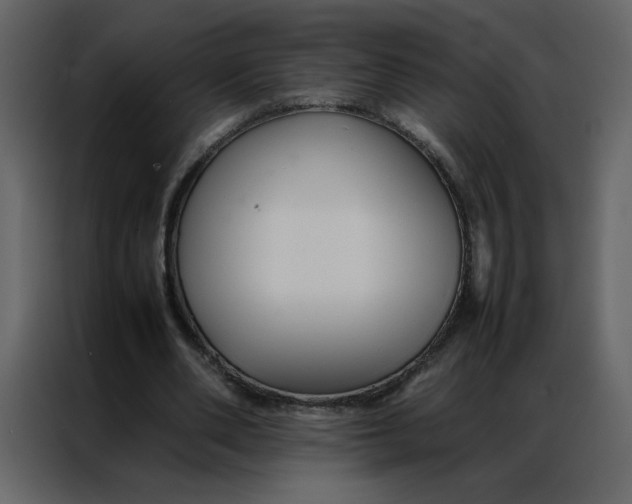 X0000086990486200705071439