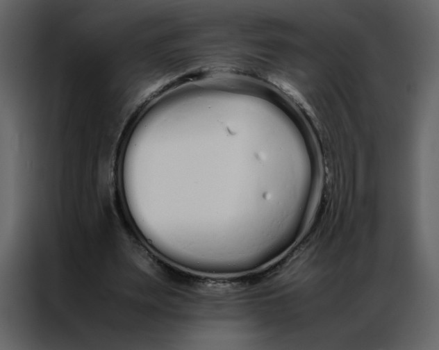 X0000086990487200705071439