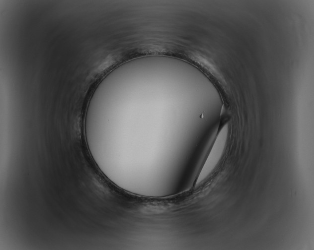 X0000086990489200705071439