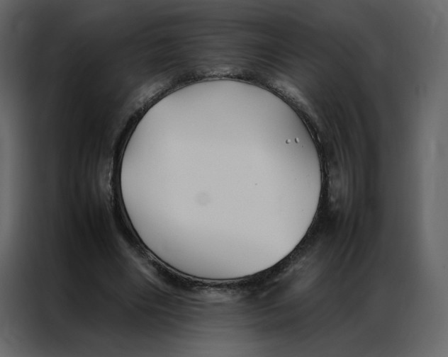 X0000086990490200705071439