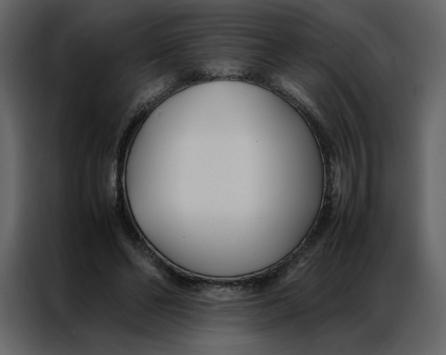 X0000086990494200705071439