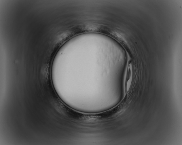 X0000086990495200705071439