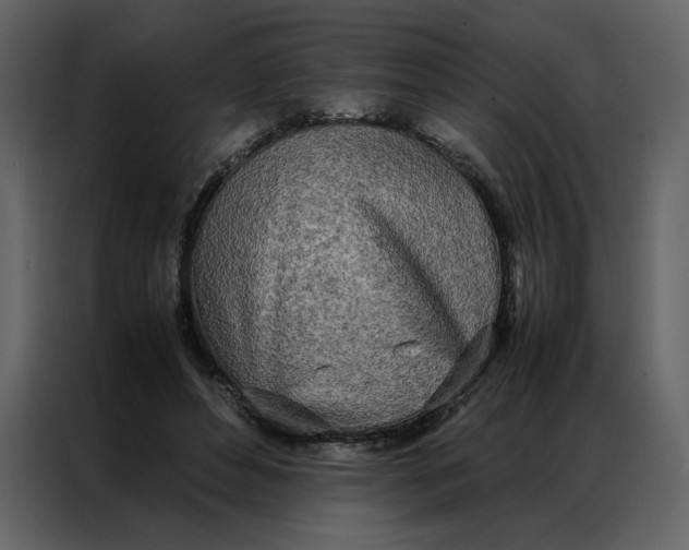 X0000086990496200705071439