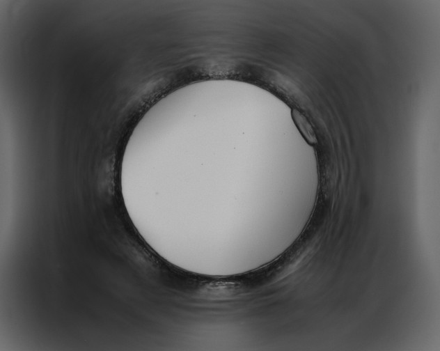 X0000086990497200705071439