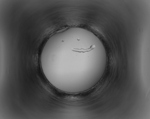 X0000086990498200705071439