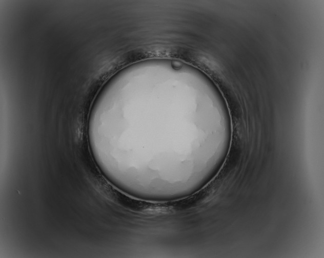 X0000086990499200705071439