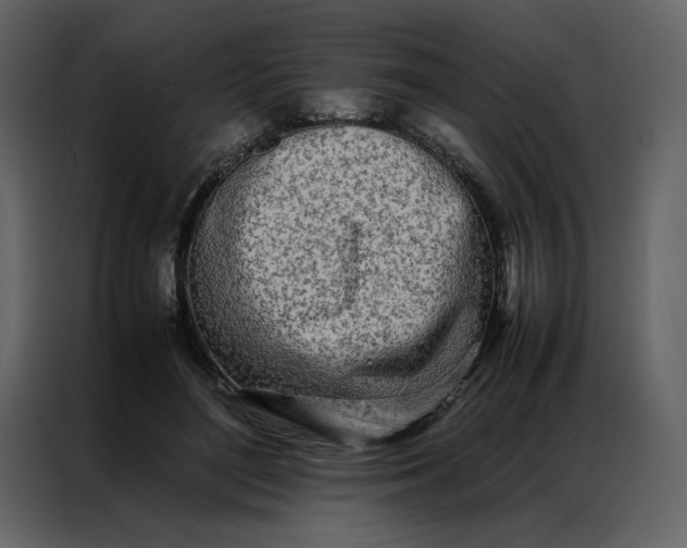 X0000086990500200705071439