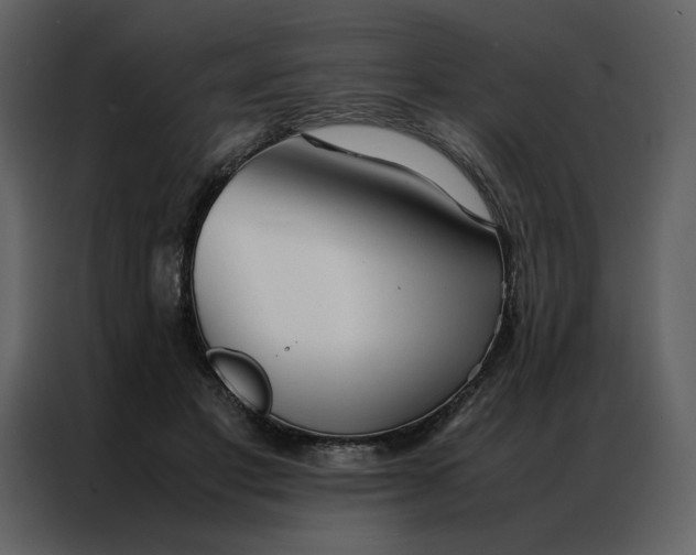 X0000086990501200705071439