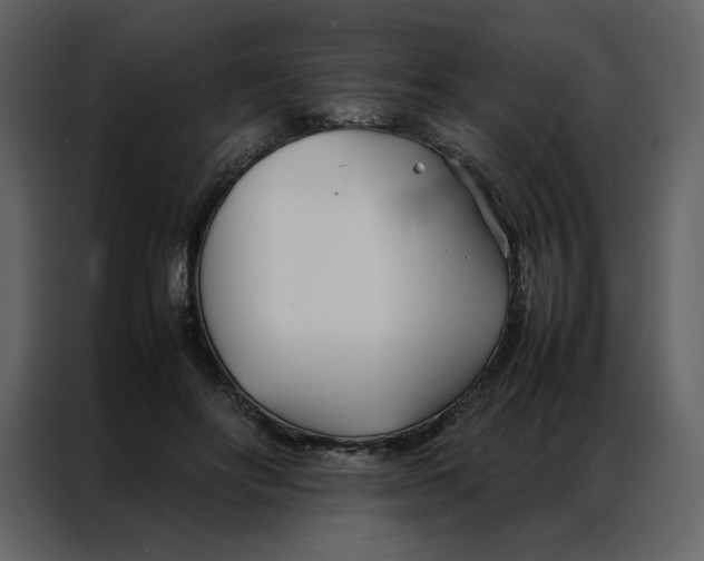 X0000086990502200705071439