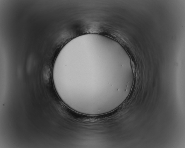 X0000086990503200705071439