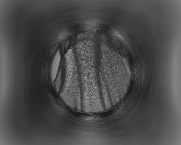 X0000086990504200705071439