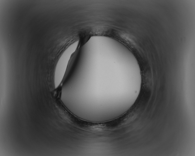 X0000086990505200705071439