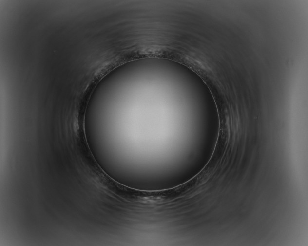 X0000086990508200705071439