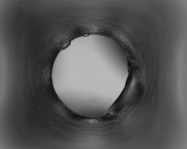 X0000086990509200705071439