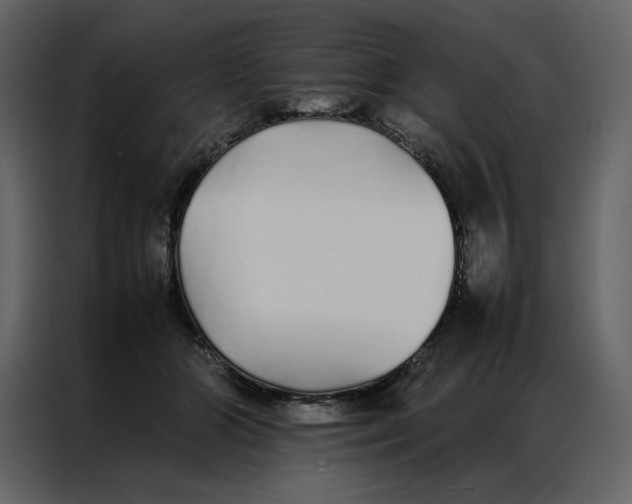 X0000086990510200705071439