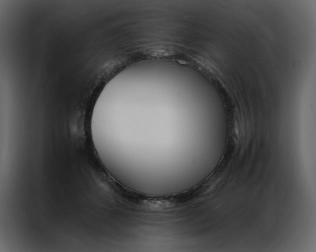 X0000086990512200705071439