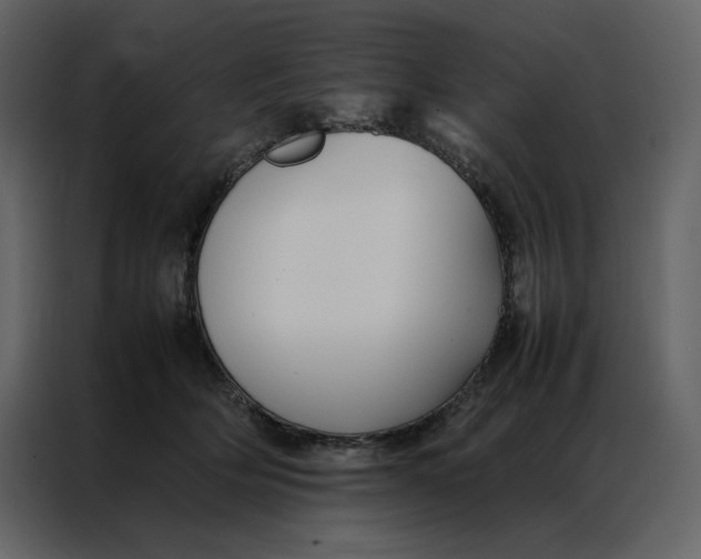 X0000086990514200705071439