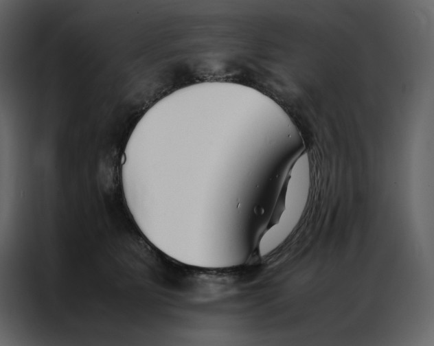 X0000086990515200705071439