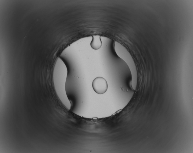 X0000086990516200705071439