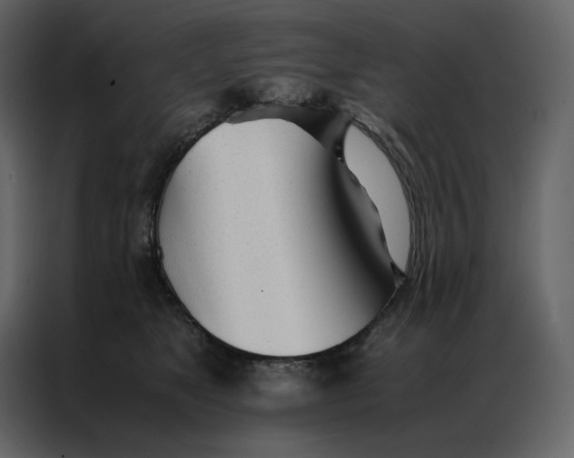 X0000086990517200705071439